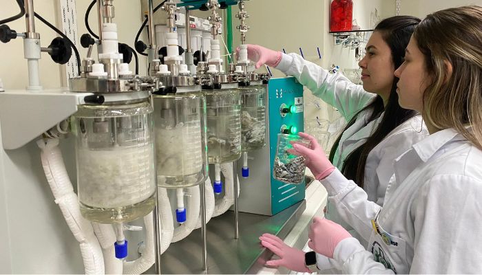  Unioeste desenvolve projeto para transformar resíduos de tilápia em colágeno